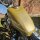 Tank Sportster® 79-81 Classic Style 2,4 GAL, 9L, Anschluß links