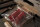 Anderson Style Grip Set short transparent red