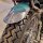 Ribbed fender beaded