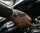 Biltwell Gloves Moto brown/orange L