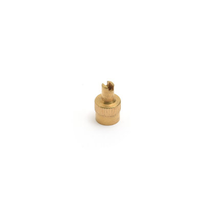 Brass valve cap with valve insert screwdriver