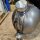 Frisco Chopper Tank universal Stahl 5l