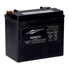 AGM Batterie für Harley Softail & Dyna 91-96 MCS...