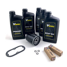 Service Kit for Harley Evolution (MIN) Softail 84-98, FXR 87-94