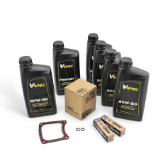 Inspektionskit Kit für Harley Twin Cam (MIN) Touring...